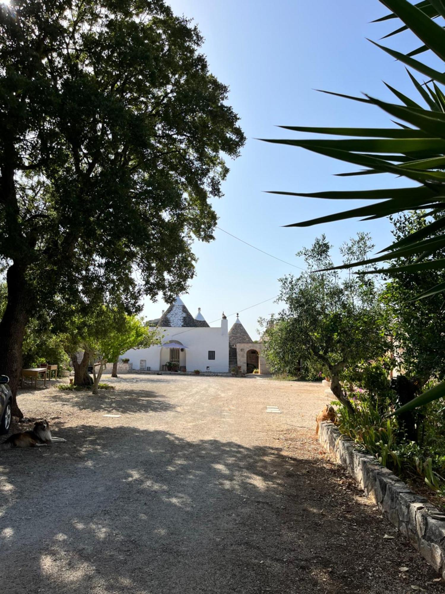 Borgo Miceli Da Giovanni Locorotondo Εξωτερικό φωτογραφία